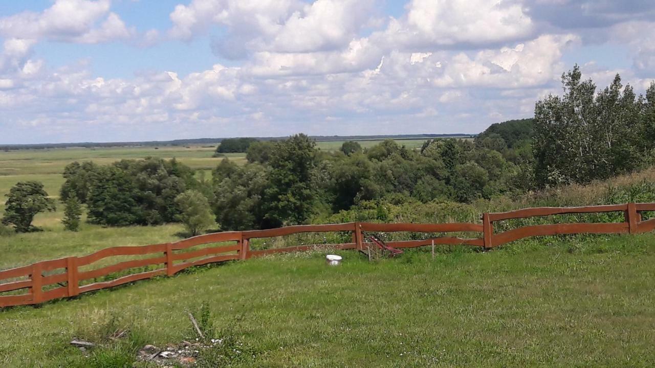 Dolistowka Apartamenty, Pole Namiotowe, Balia Z Jacuzzi, Ogrod Warzywny Dla Gosci, Plac Zabaw Dla Dzieci Гонёдз Экстерьер фото
